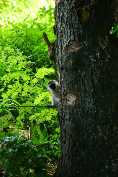 DSC_7873 (Large).JPG